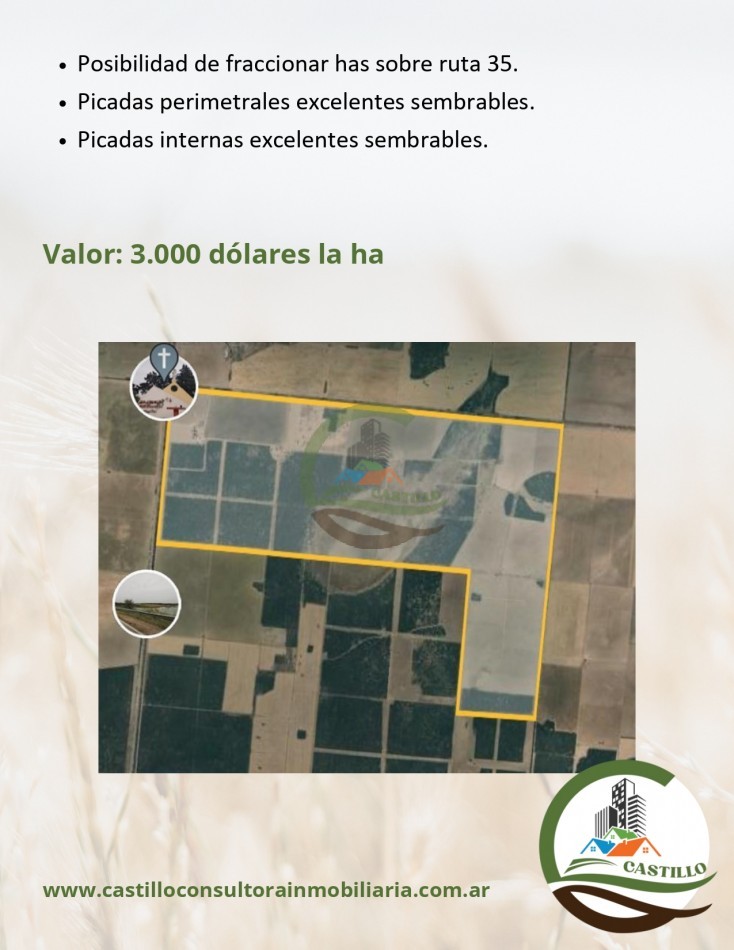 1148 ha mixto - la pampa