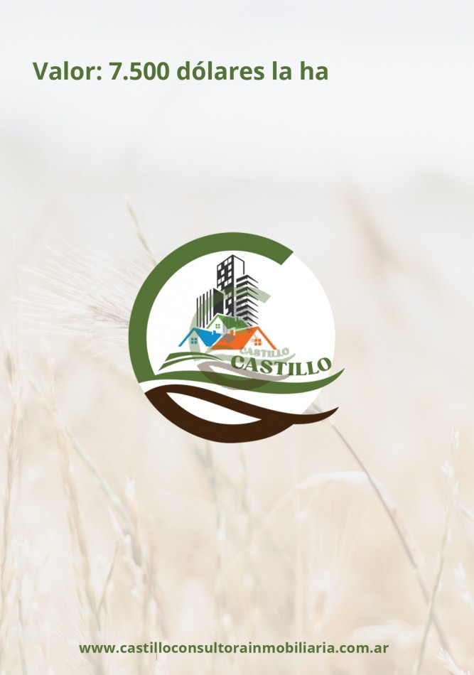 254 ha mixtas - balcarce