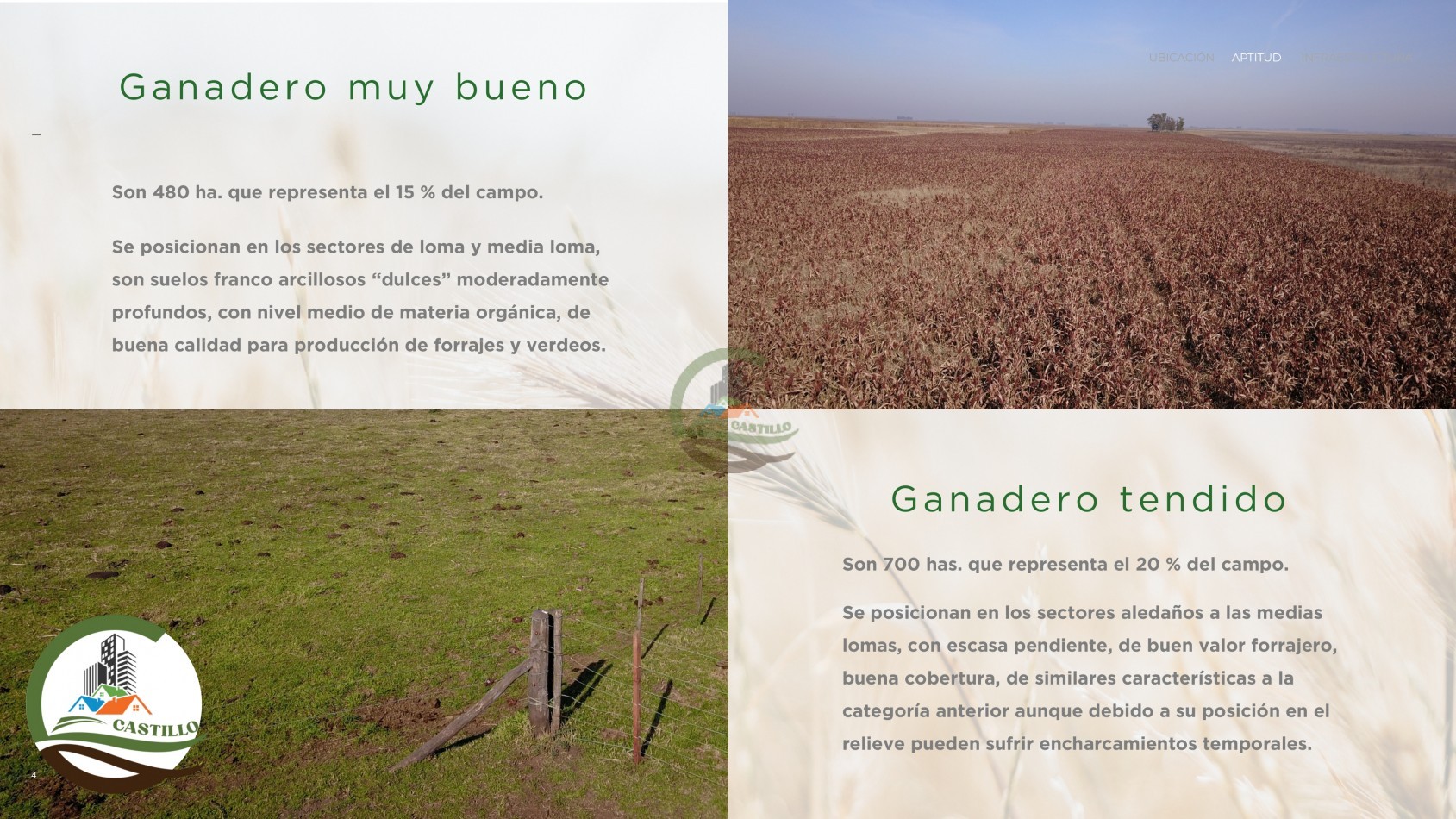 3485 ha Ganadero - Tapalque