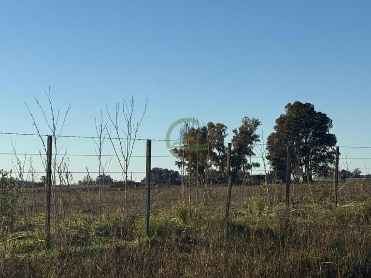 101 Ha Agricolas - Bolivar - Alquiler