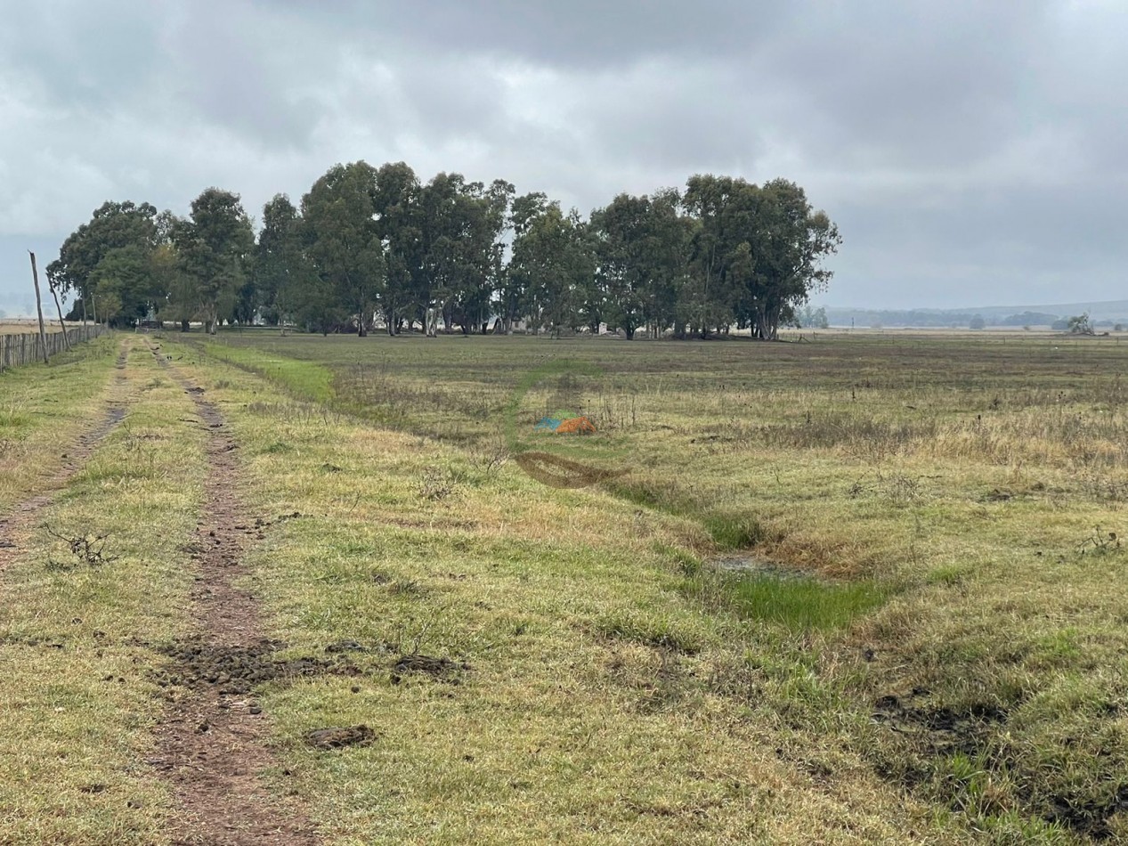 47 ha Ganadera - Olavarria