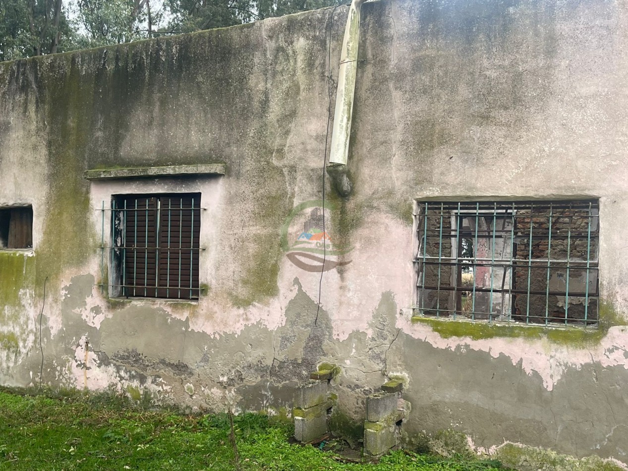 47 ha Ganadera - Olavarria