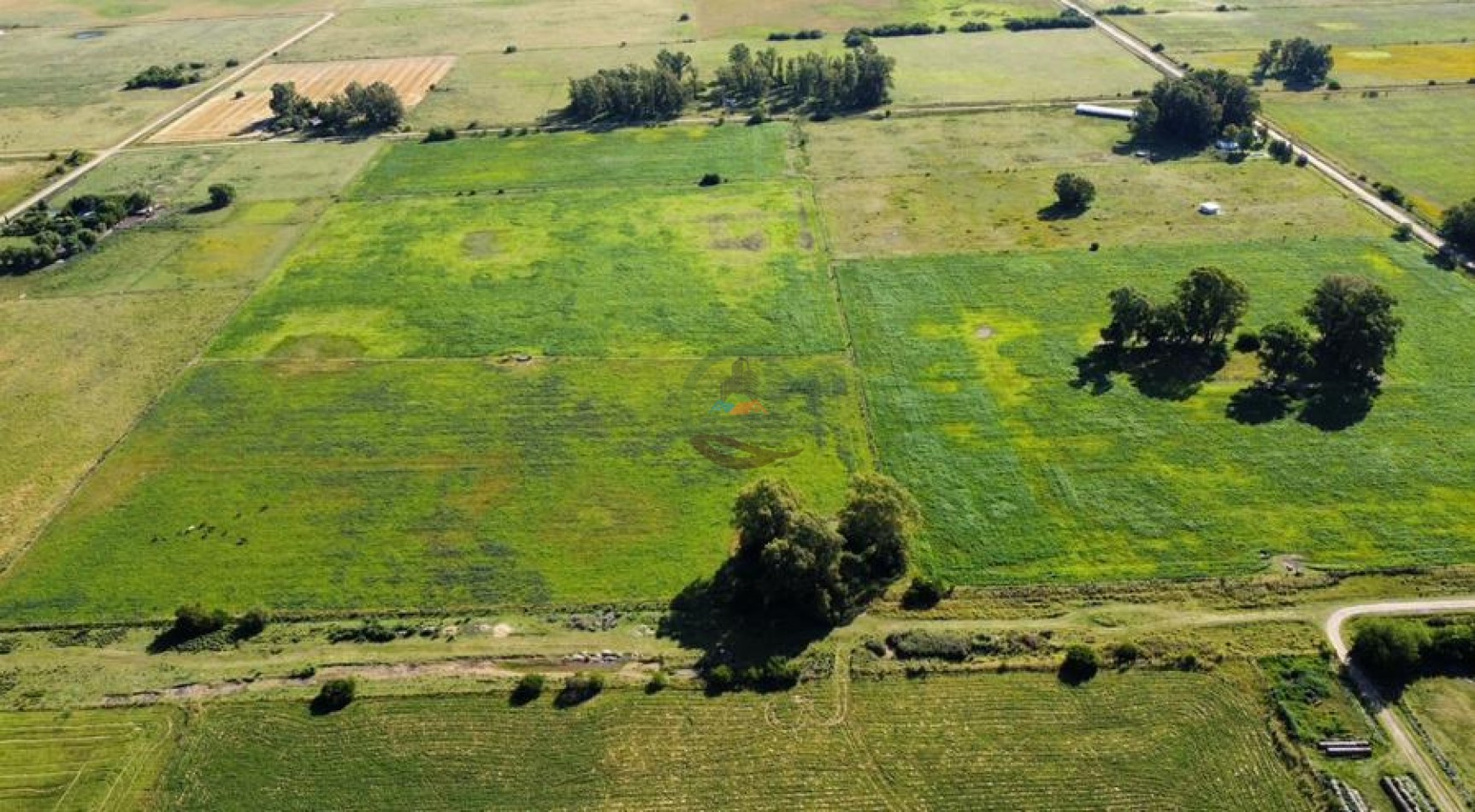 60 Ha Mixto - Las Flores