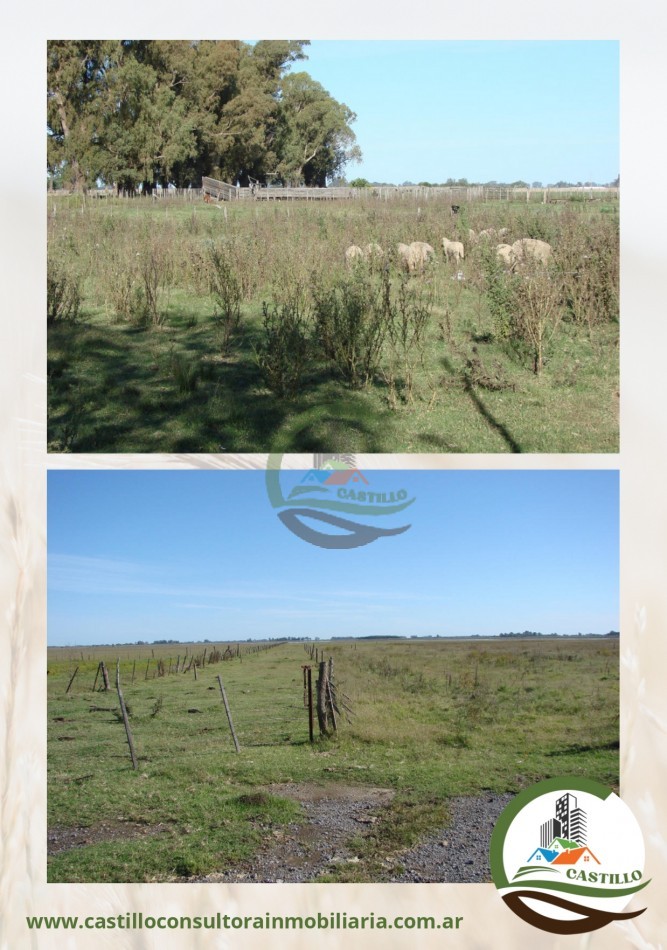 110 ha mixtas - bragado