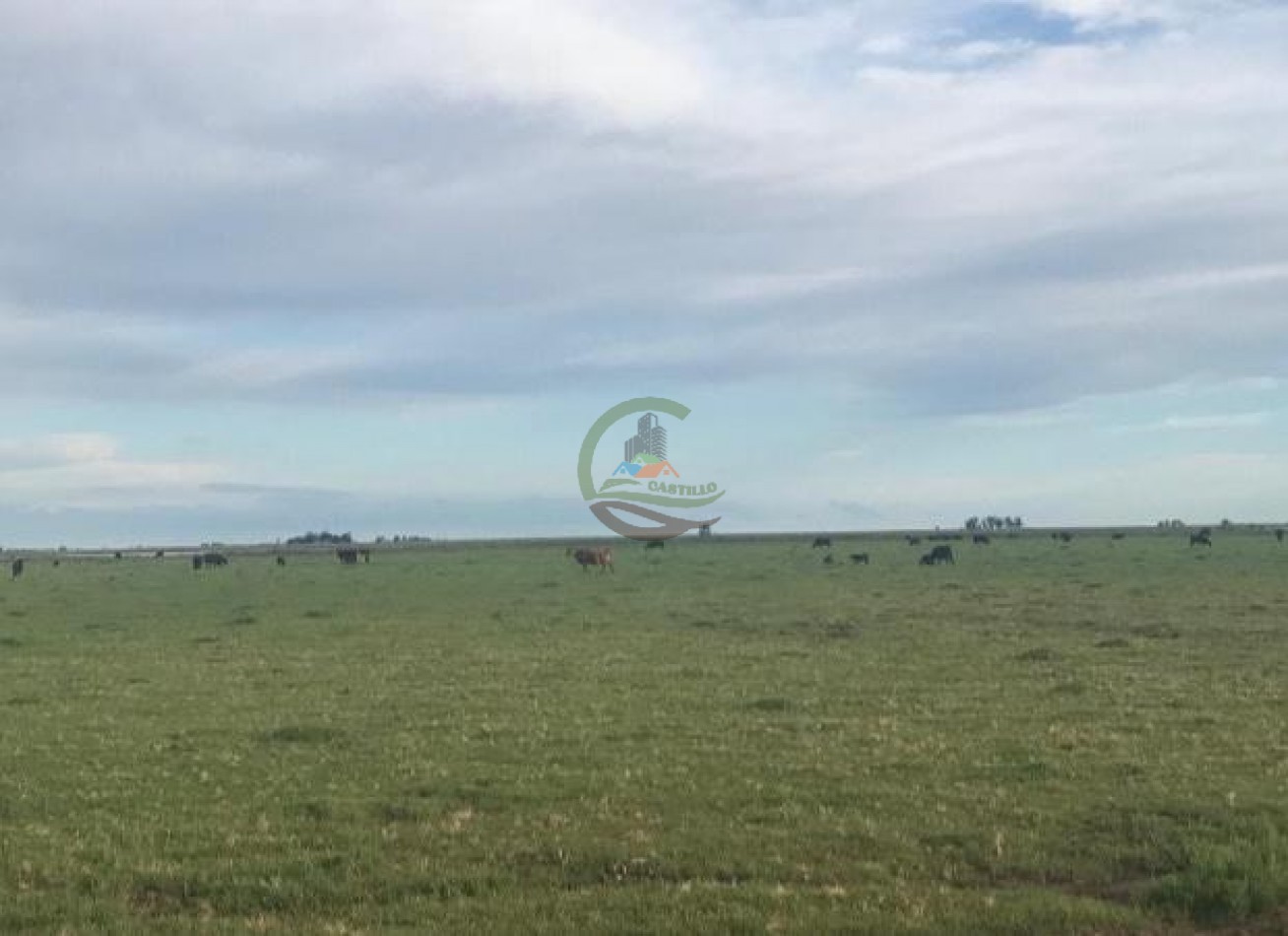 875 Ha Mixto - Carlos Tejedor