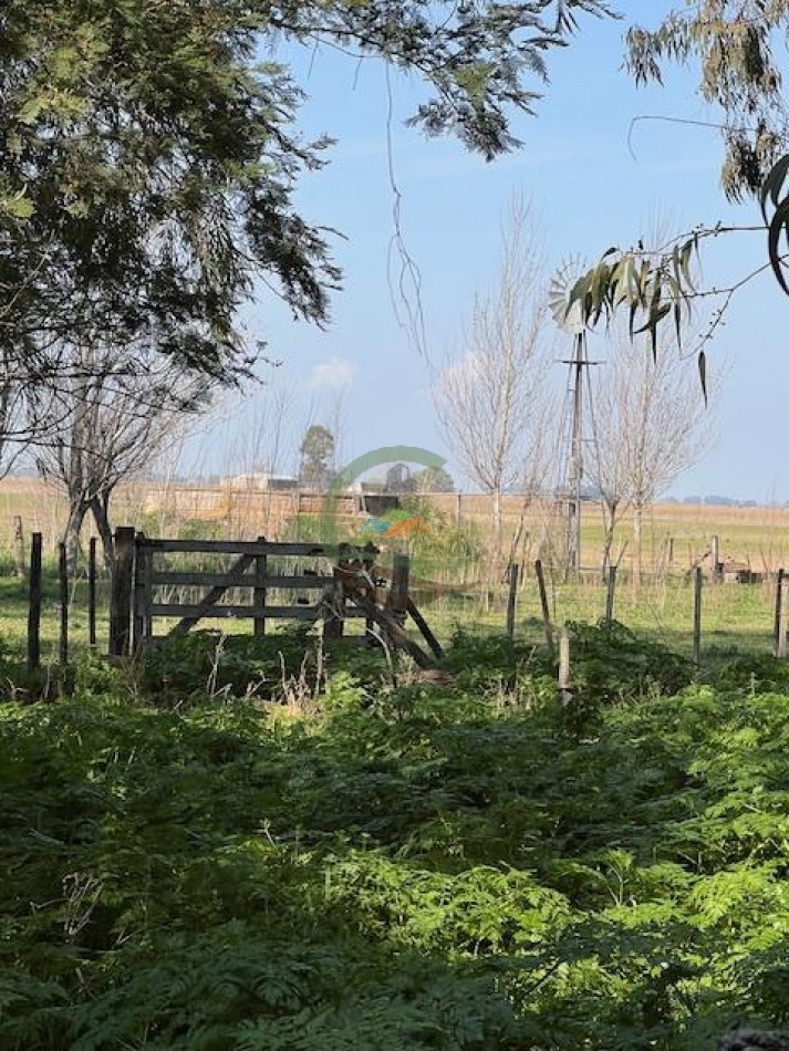 422 Ha Mixto - Las Flores