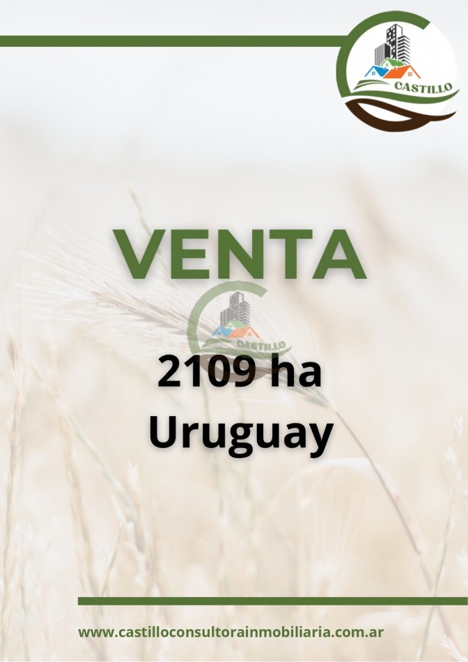 2109 ha mixtas - uruguay