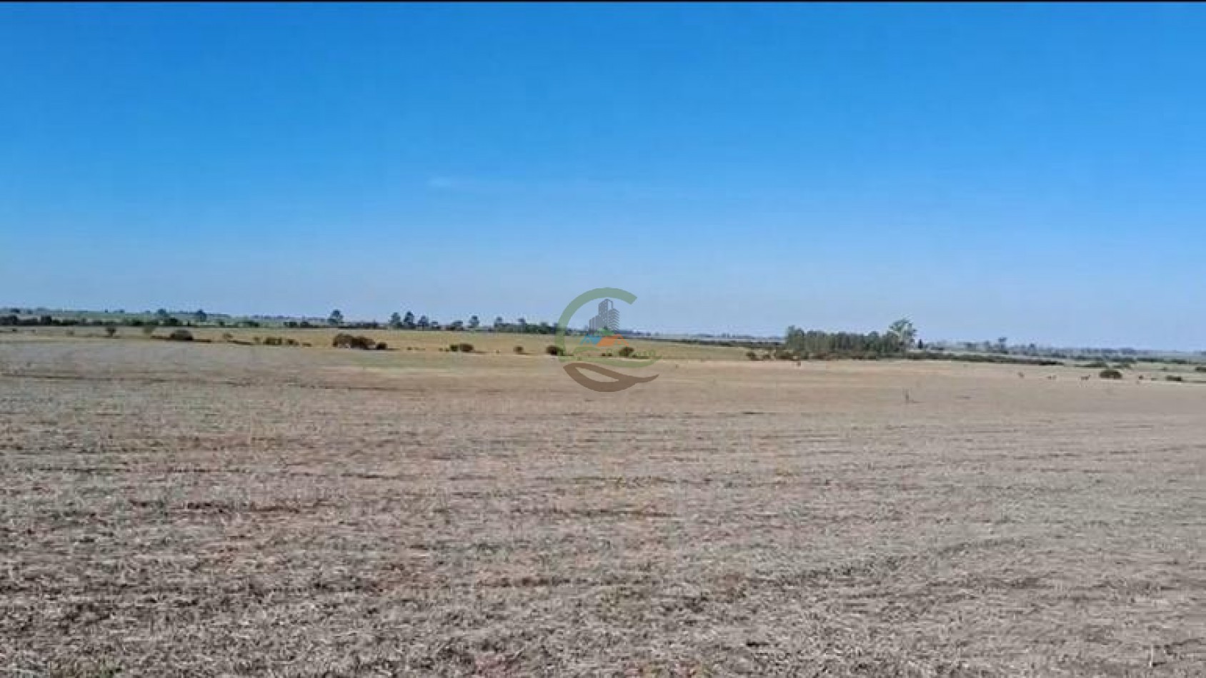 200 ha Agricolas - Gualeguaychu