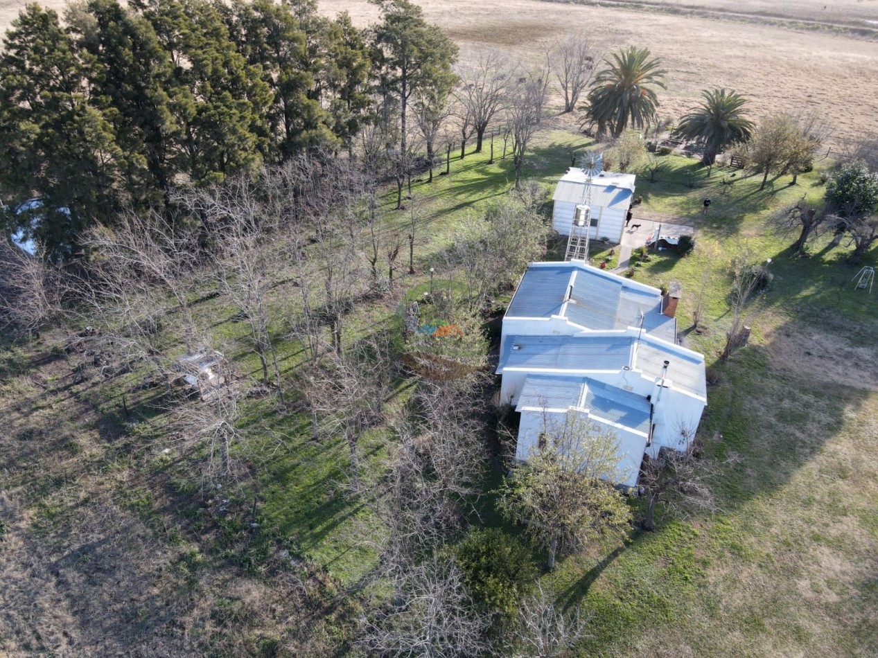 12,6 ha Mixtas - Saladillo