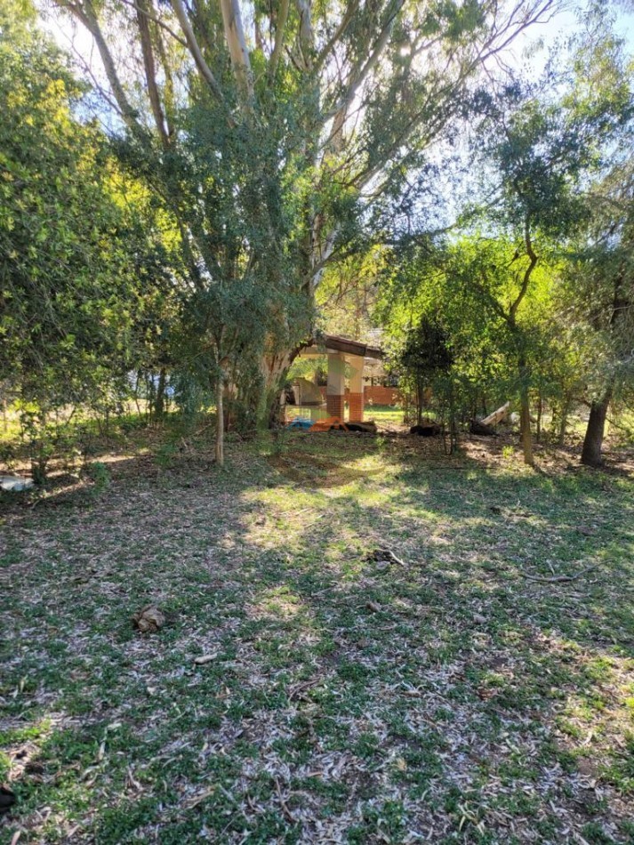 64 ha mixto - punta indio