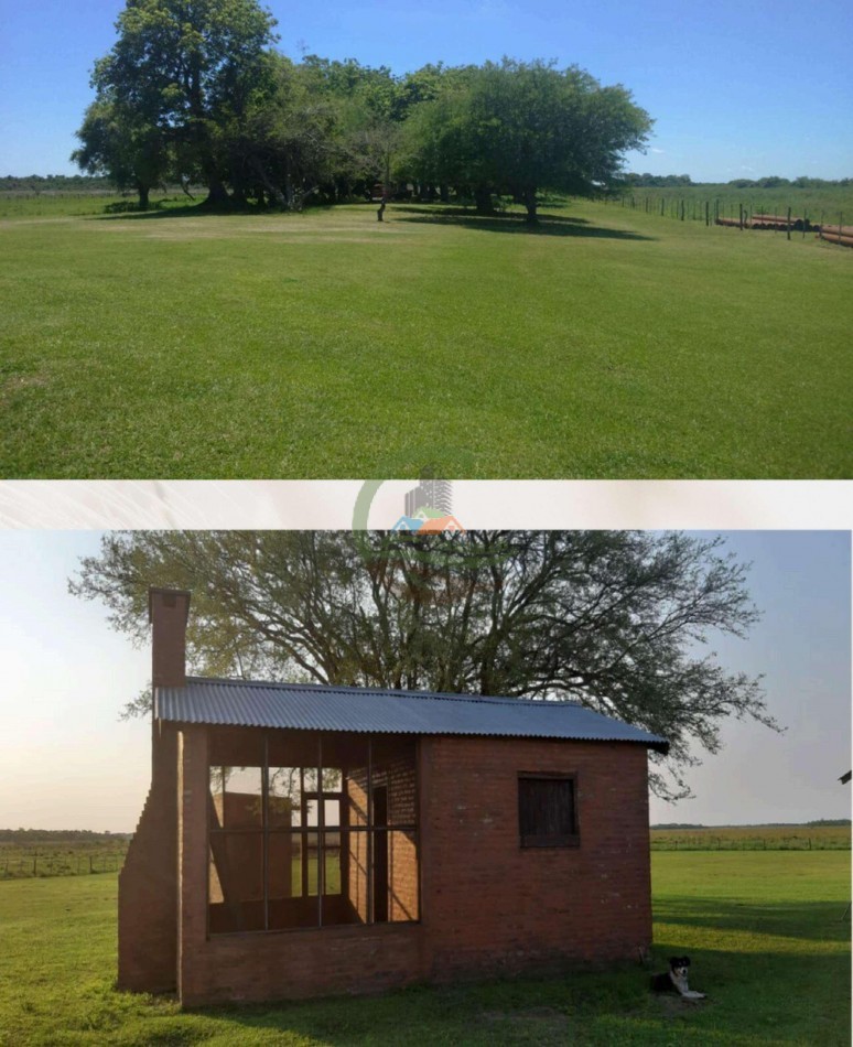 4168 Ha Mixto - San Luis del Palmar - Corrientes