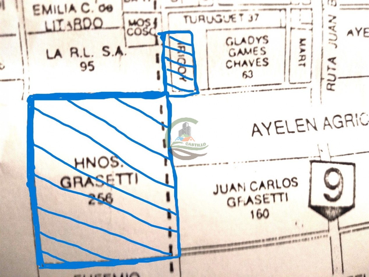 280 ha Agricolas - Ramallo