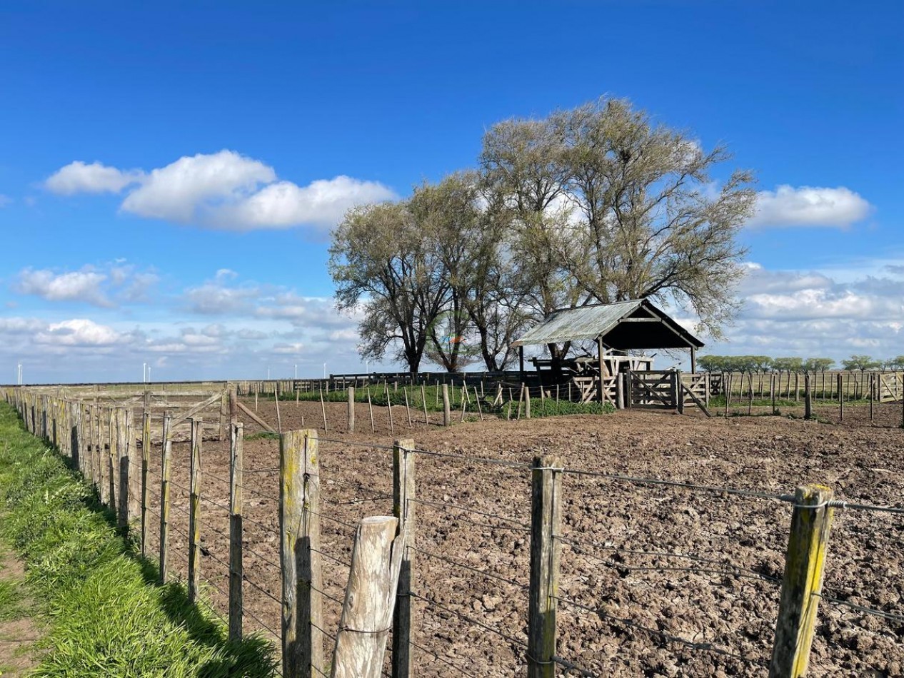 1361 ha Mixta - Olavarria 