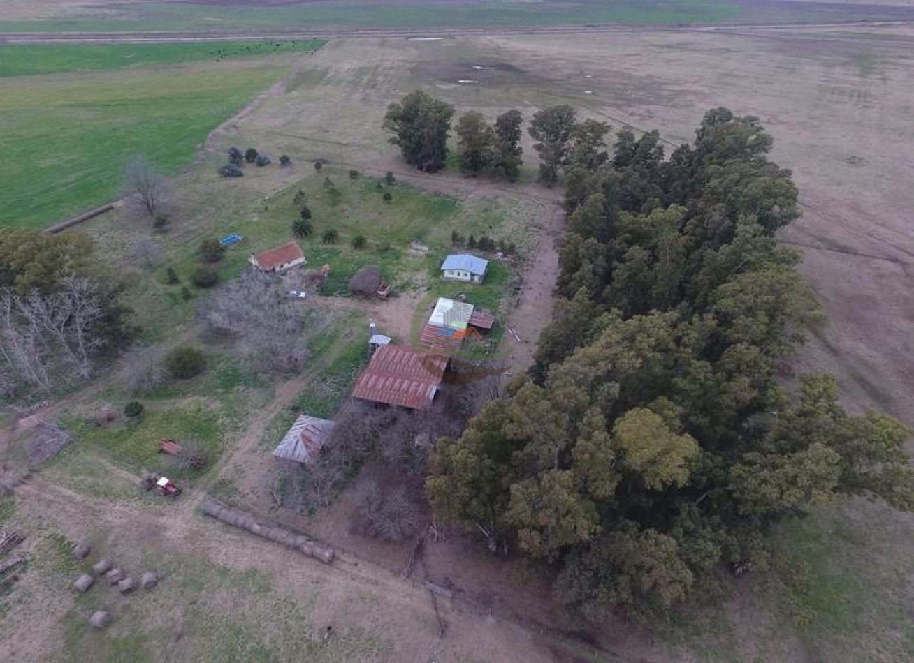 328 Ha Mixto - Colman - Rauch