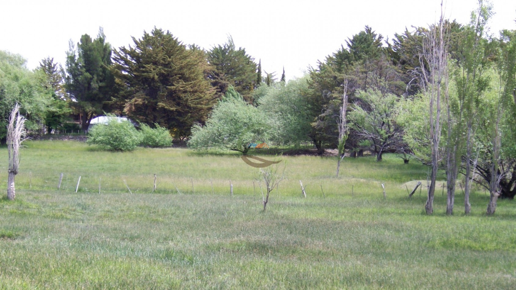50000 ha Ganadero - Santa Cruz