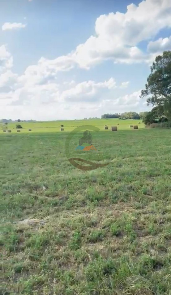 20 ha agricolas - Pergamino 