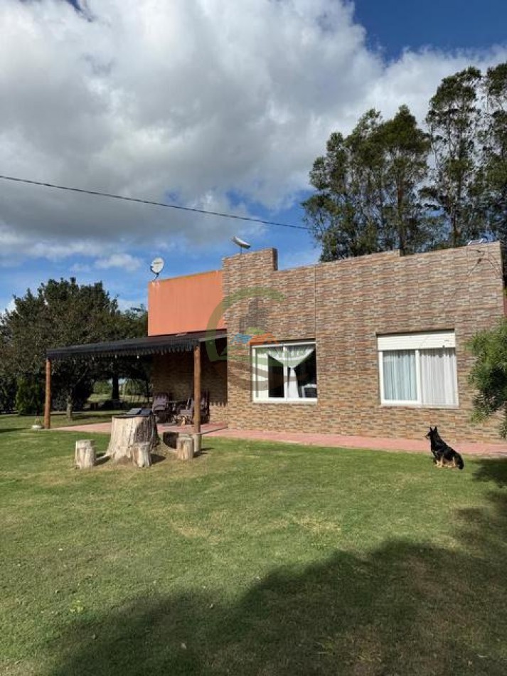 59,5 Ha Agricolas - Polvaredas - Saladillo