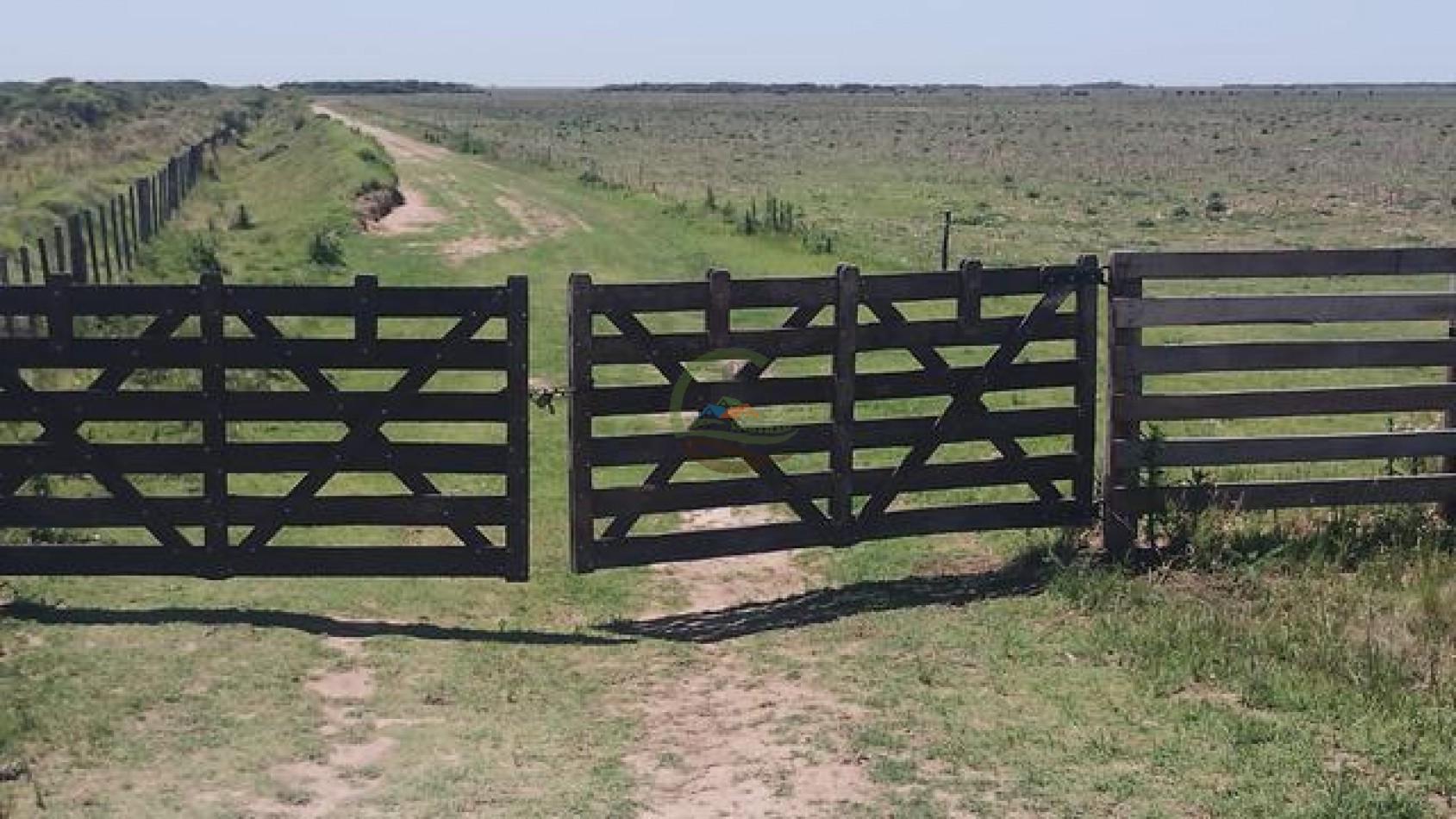 1900 Ha Mixto - Laboulaye - Cordoba