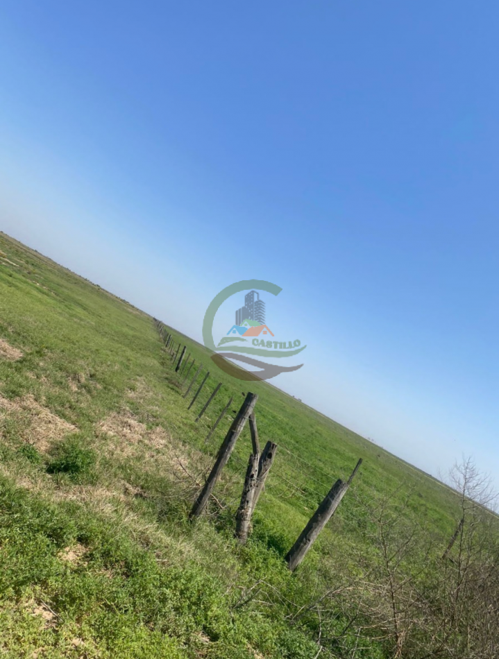 850 ha mixtas - cordoba