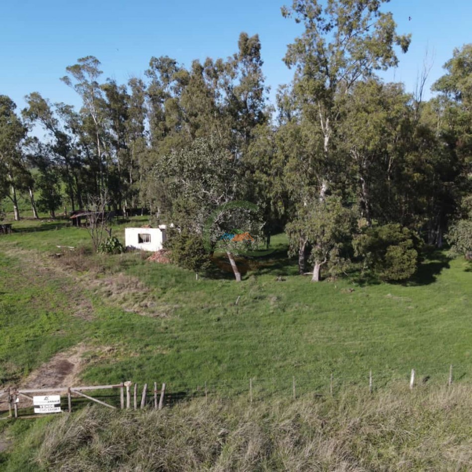 31 ha Agricolas - Saladillo 