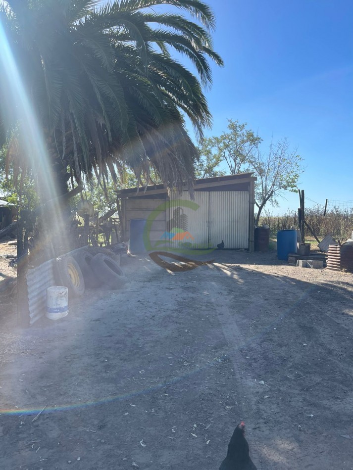 81 ha Mixto - Alvear