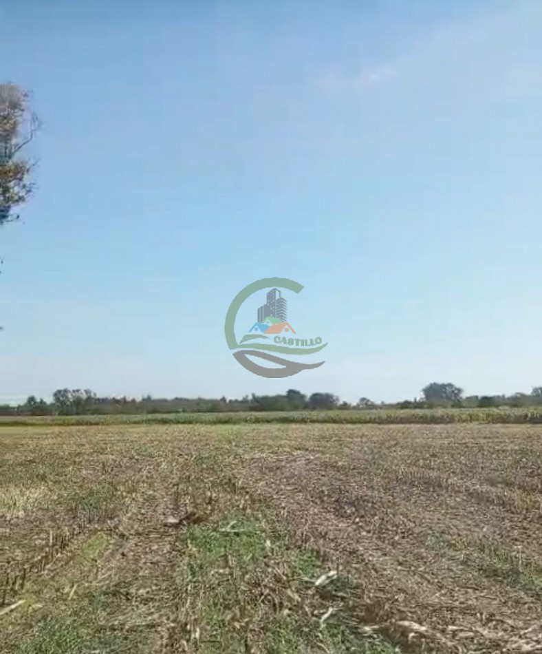 24 ha agricolas - mercedes