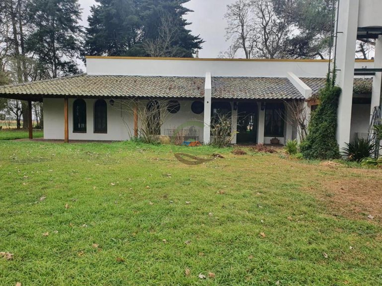 175 Ha Mixtas - Abasto - La Plata