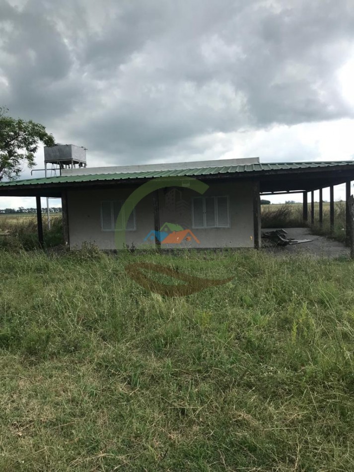 177 ha Mixtas - Pergamino 