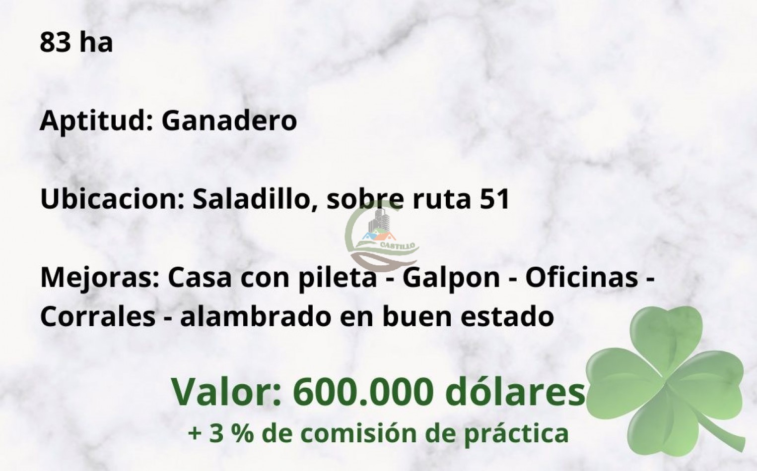 83 ha Ganadero - Saladillo
