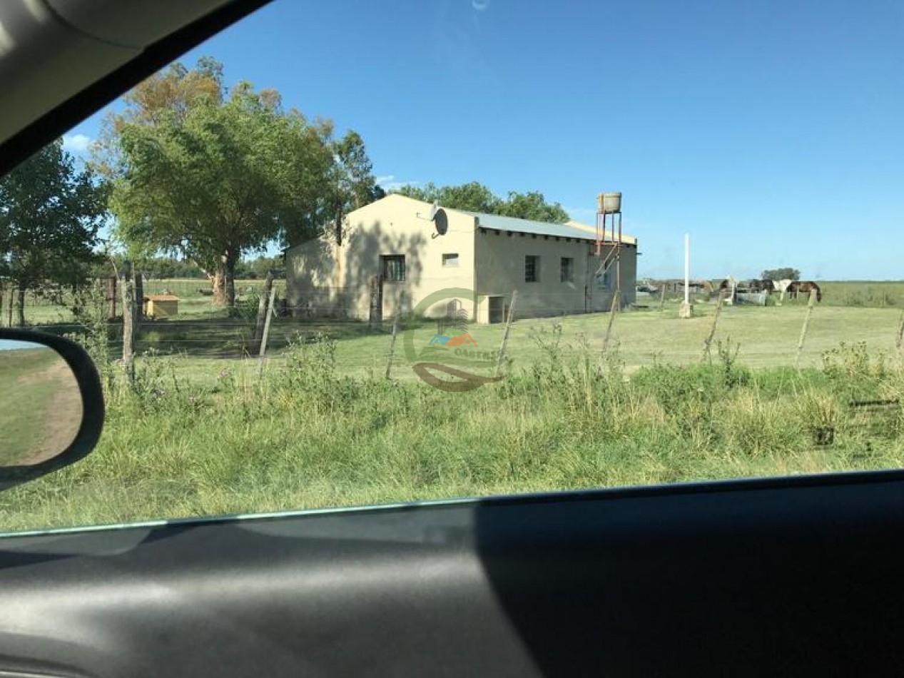 1370 Ha Agricolas - Gral Alvear