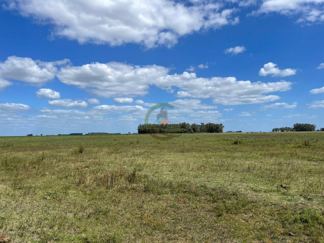 78 ha Mixtas - Saladillo