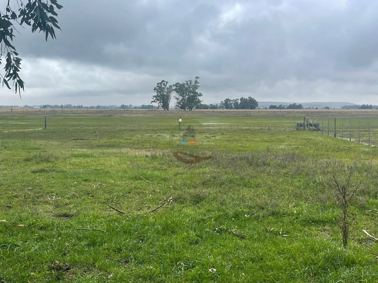 47 ha Ganadera - Olavarria