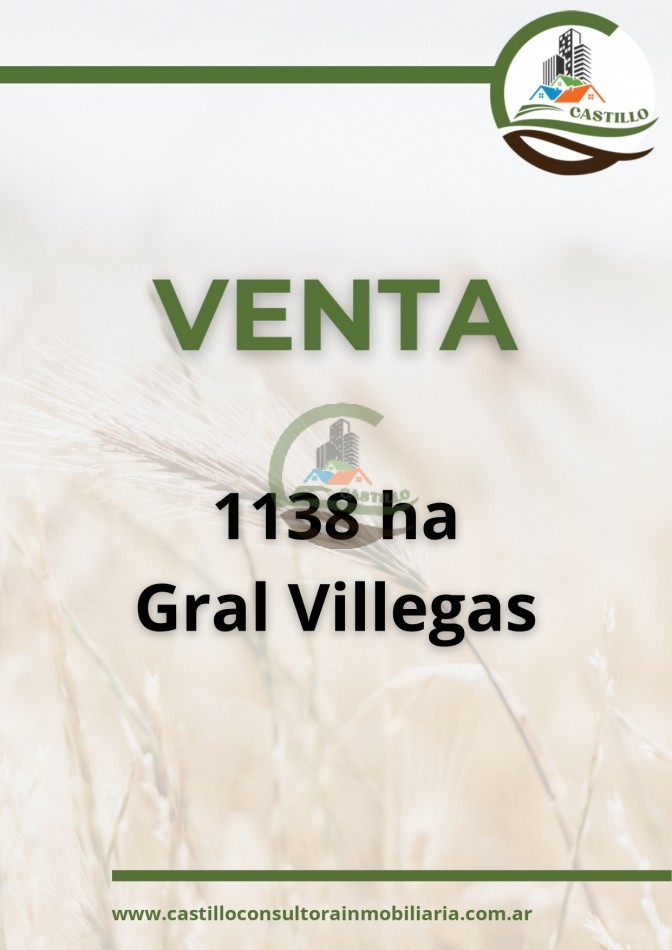 1138 ha agricolas - gral villegas