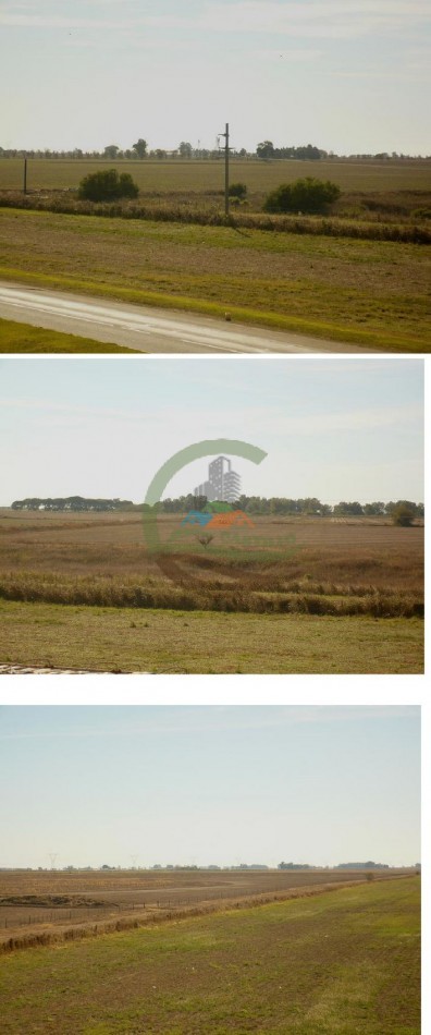 830 ha - Agricolas - Santa fe