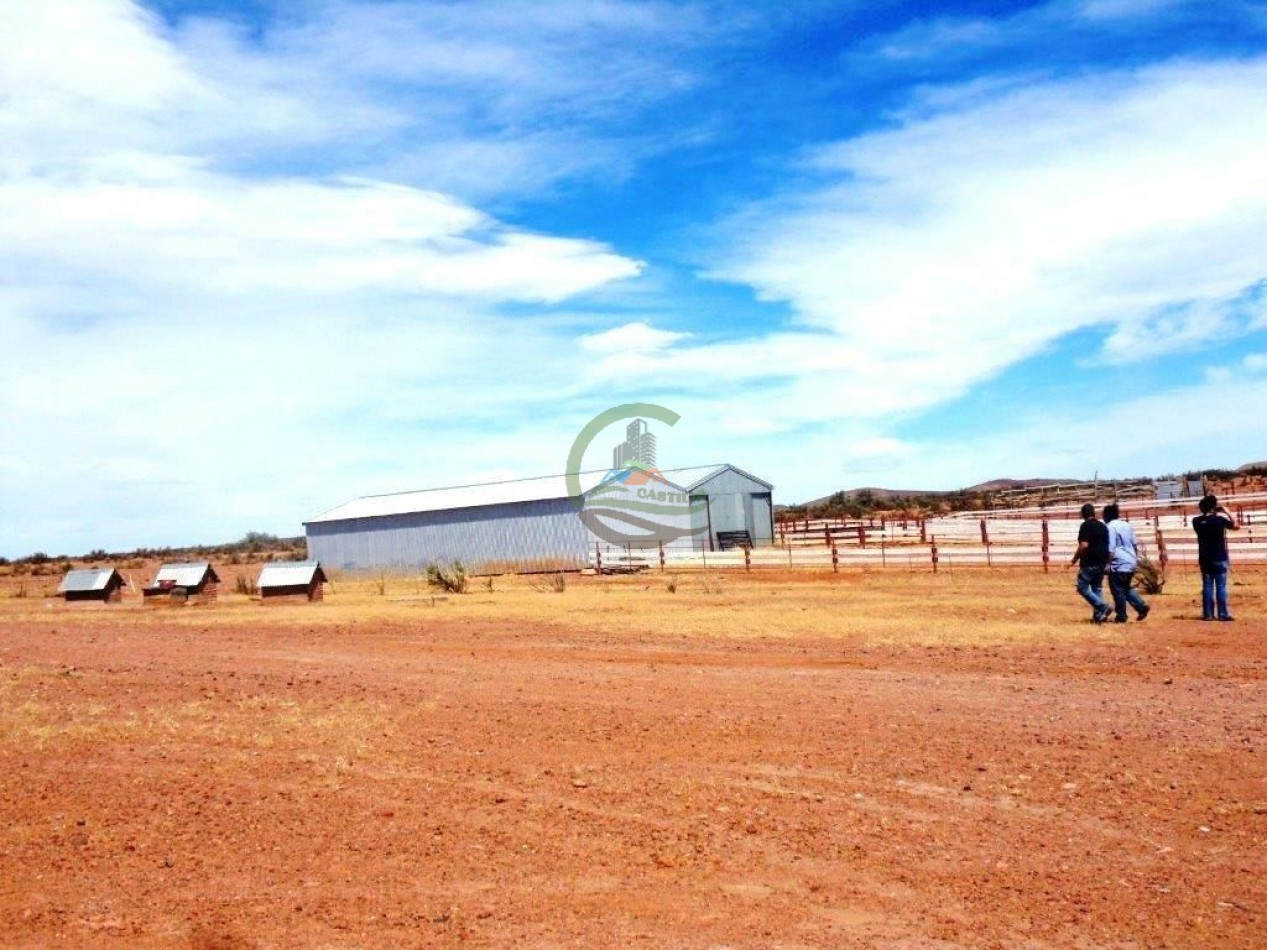 93000 ha Ganaderas - Pasos de los Indios - Chubut