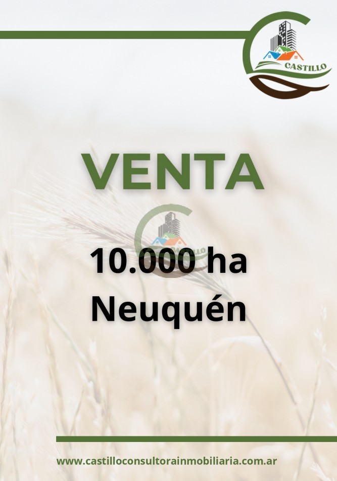 10000 ha mixto - Neuquen