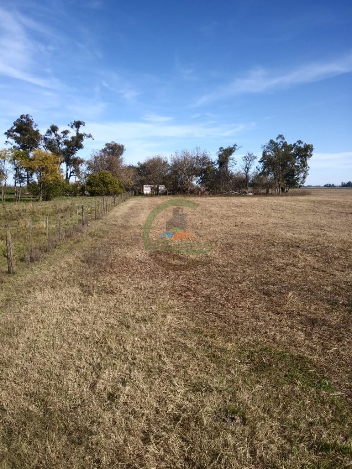 20 ha mixtas - saladillo