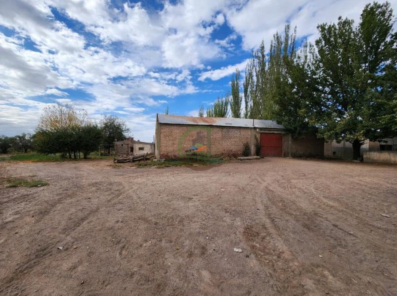 80 Ha Agricolas - San Martin - Mendoza