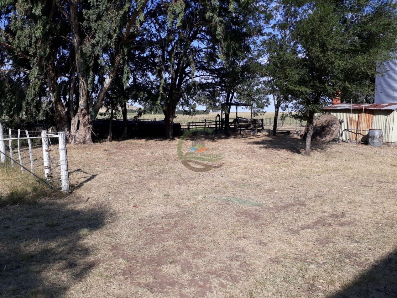 100 ha MIxtas - Sierras de la Ventana