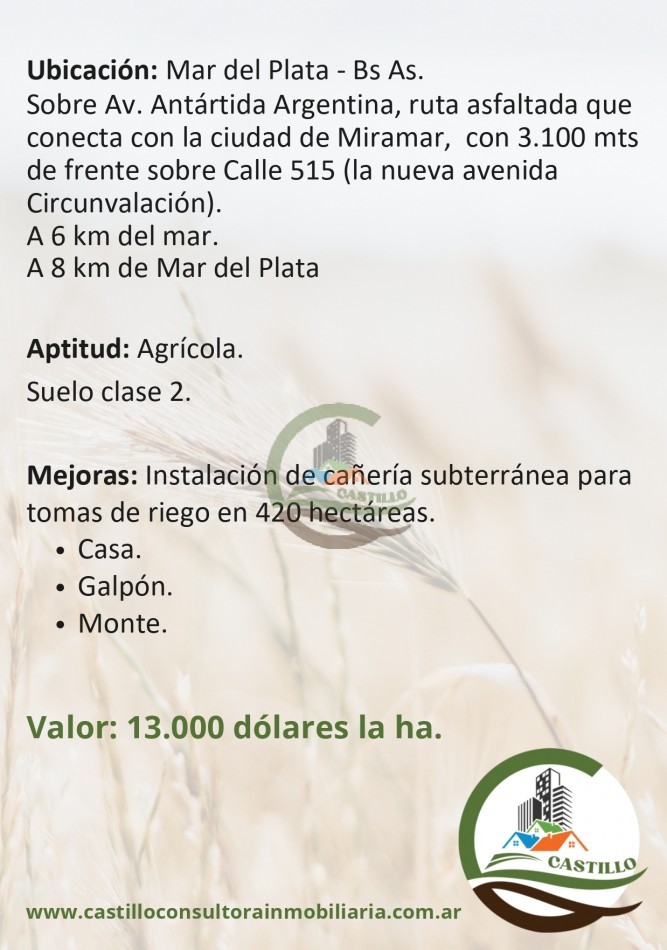 550 ha agricolas - mar del plata