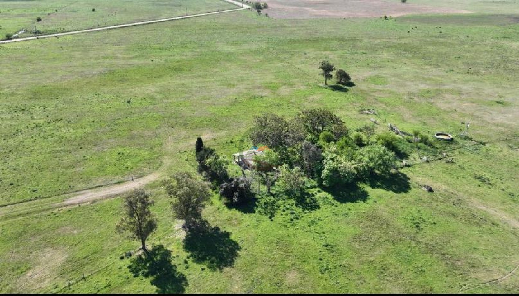 88 Ha Mixto - Udaondo - Cañuelas