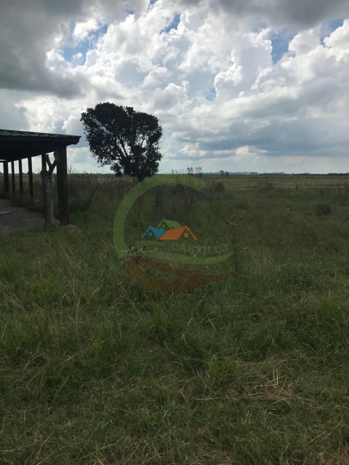 177 ha Mixtas - Pergamino 