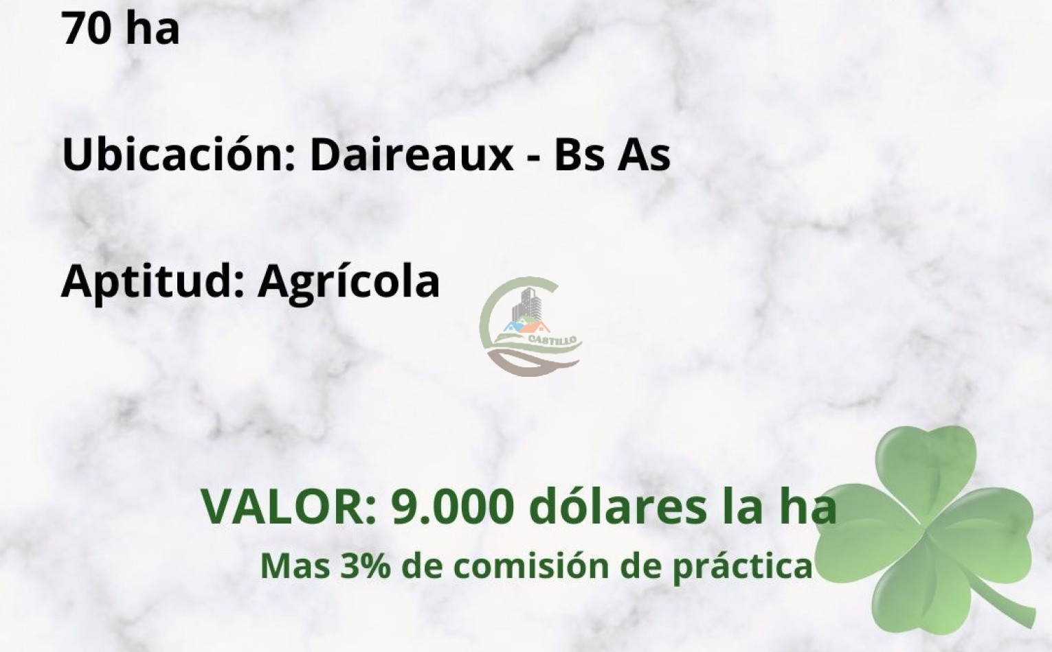 70 ha Agricolas - daireaux