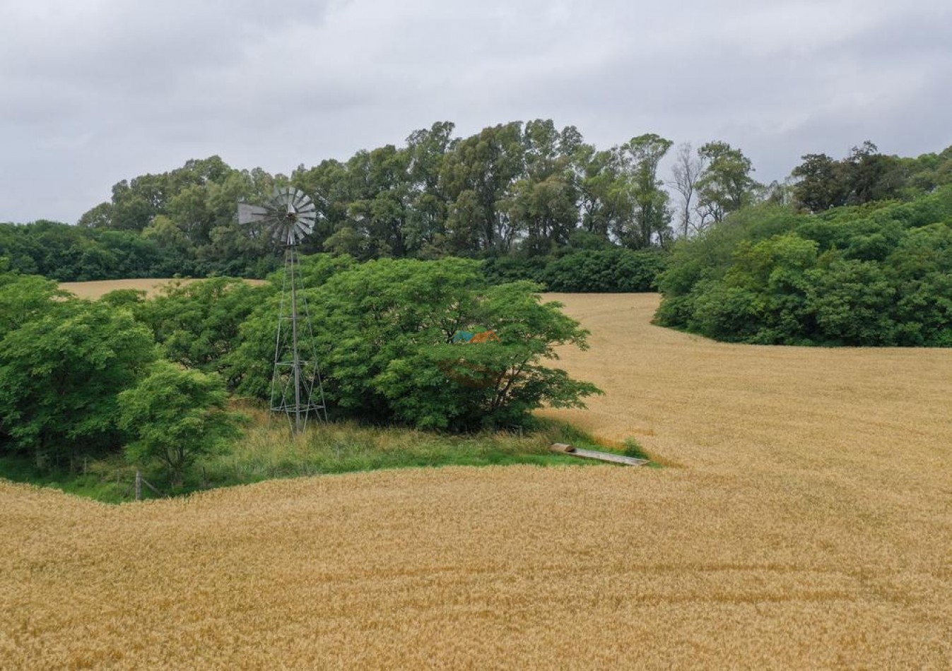 118 Ha Agricolas - Irala - Bragado