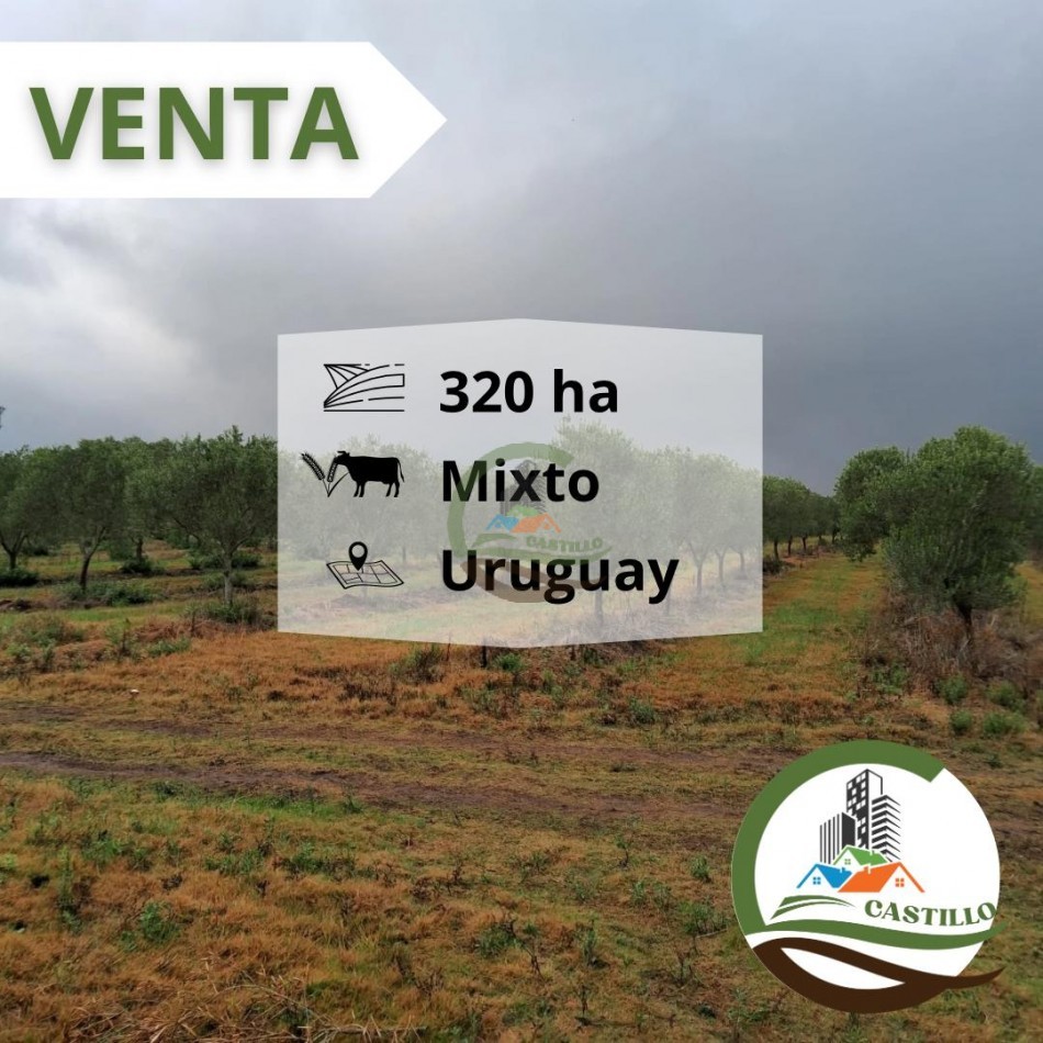 320 ha mixtas - uruguay