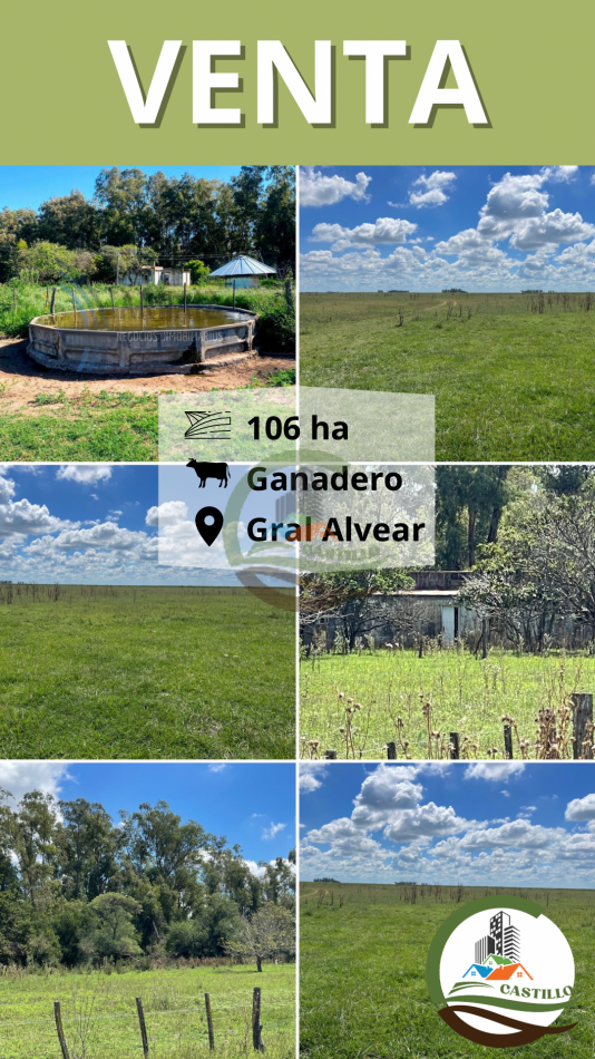 106 ha ganadero - gral alvear