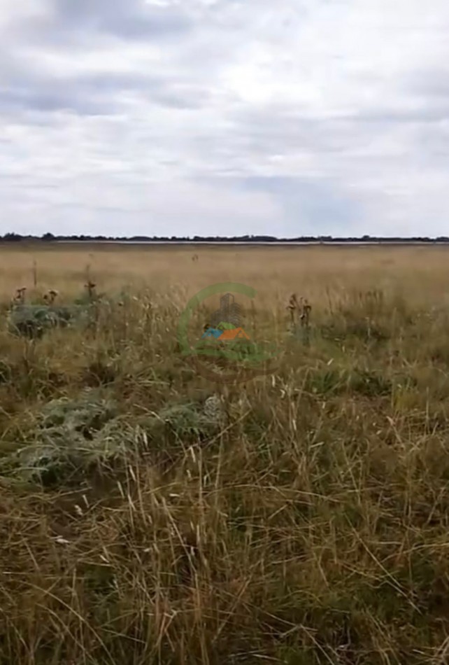 138 Ha Mixto - Chascomus