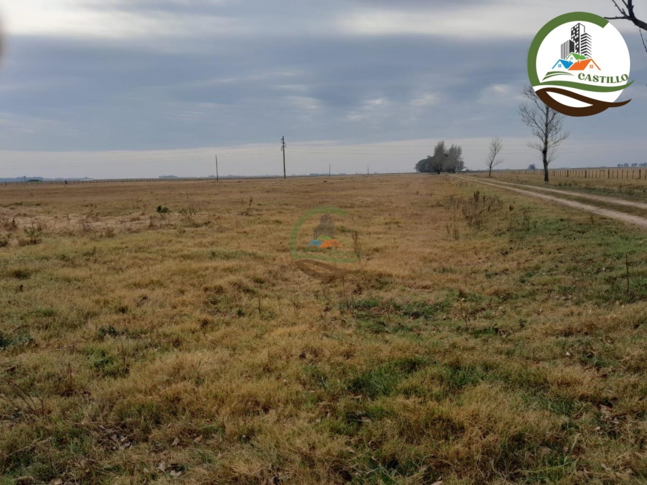 1025 ha mixta - saladillo