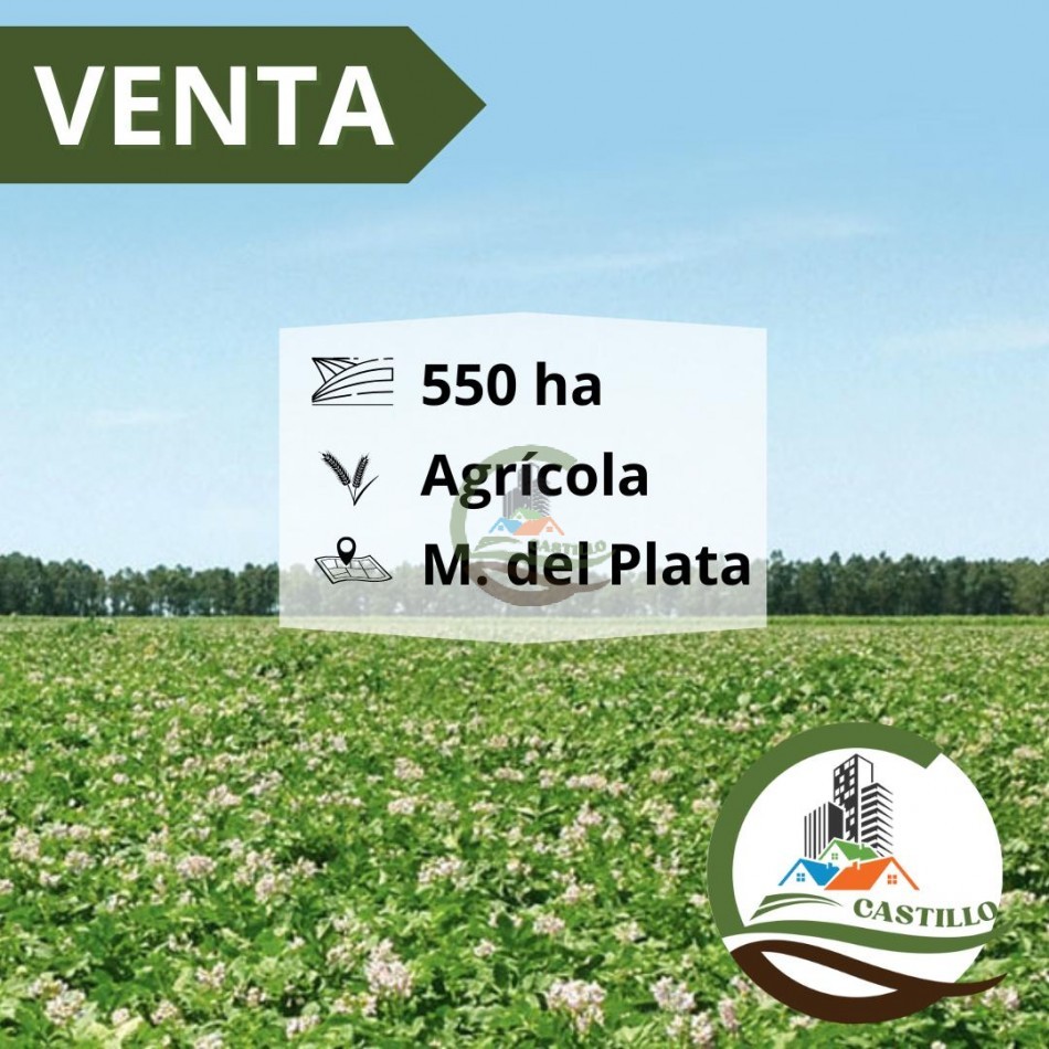 550 ha agricolas - mar del plata