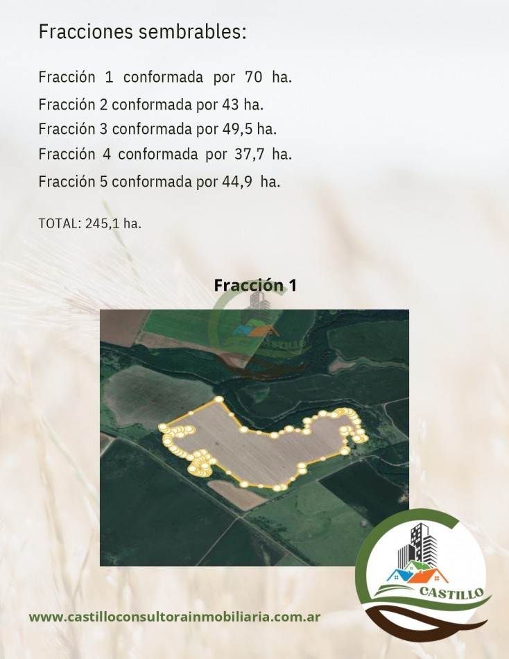 328 ha mixto - entre rios